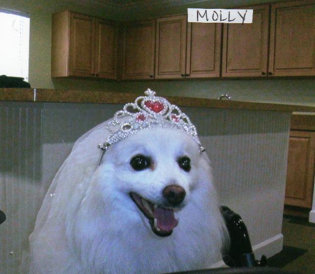 Molly