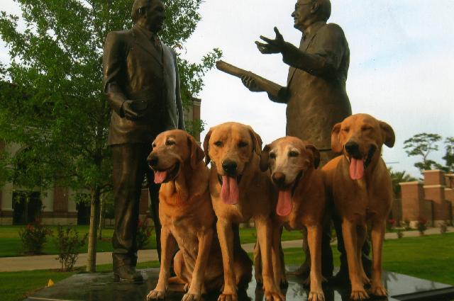 Jake, Abbey, Ave and Ike