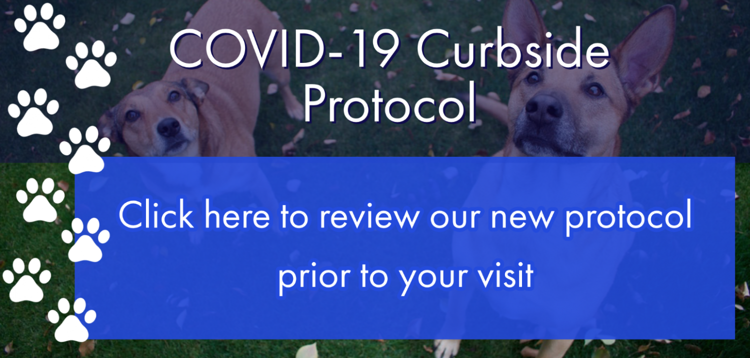 Tallahassee FL Animal Hospital Animal Medical Clinic