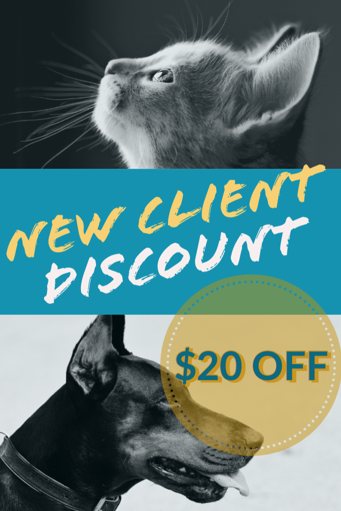 New Client Discount Banner